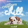 undefined Little Chapters of Chill
