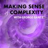 undefined Making Sense of Complexity with George Gantz