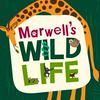 undefined Marwell's Wild Life