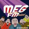 undefined MegFM