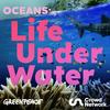 undefined Oceans: Life Under Water