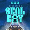 undefined Operation Seal Bay