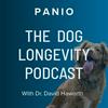 undefined PANIO: The Dog Longevity Podcast