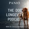 undefined The Dog Longevity Podcast