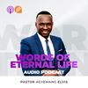 undefined Pastor Agyemang Elvis