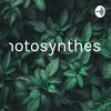 undefined Photosynthesis