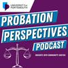 undefined Probation Perspectives: Insights into Community Justice