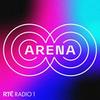 undefined Arena