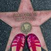 undefined Sara Goes to Hollywood