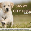 undefined Dog & Puppy Training | Savvy City Dog