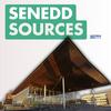 undefined Senedd Sources