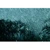 undefined Sleepy Rain Sounds