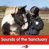 undefined Sounds of the Sanctuary