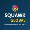 undefined Squawk Global
