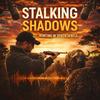 undefined Stalking Shadows