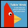 undefined Talkin' Birds