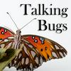 undefined Talking Bugs