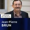 undefined Techniques et économies de la Méditerranée antique - Jean-Pierre Brun