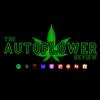 undefined The Autoflower Review Podcast