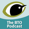 undefined The BTO Podcast
