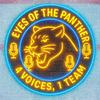 undefined The Eyes Of The Panthers