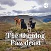 undefined The Gundog Pawdcast