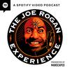 undefined The Joe Rogan Experience