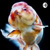 undefined THE JOY OF AQUASCAPING PODCAST