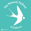 undefined The Natural Podcast of Selborne