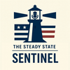 undefined The Steady State Sentinel