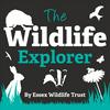 undefined The Wildlife Explorer