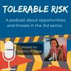 undefined Tolerable Risk: Threats and Opportunities in the 3rd Sector