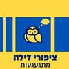 undefined ציפורי לילה מתגעגעות