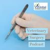 undefined Veterinary Surgery Podcast