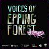 undefined Voices of Epping Forest