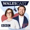 undefined Walescast