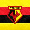 undefined Watford FC Official Podcast