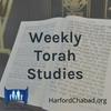 undefined Weekly Torah Studies at Harford Chabad