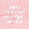 undefined WEIRD WACKY AND WONDERFUL ANIMALS