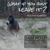 undefined What if you just leave it? Rewilding unwrapped