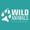 undefined Wild Animals