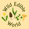 undefined Wild Edible World: A Foraging Podcast