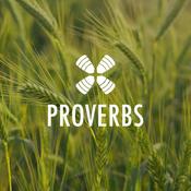 Podcast 1 Year Daily Audio Bible PROVERBS
