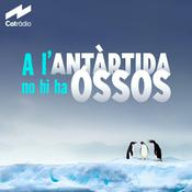 Podcast A l'Antàrtida no hi ha óssos