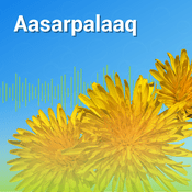 Podcast Aasarpalaaq 2025, KNR