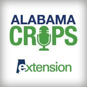 Podcast Alabama Crops Report