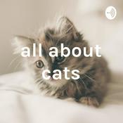 Podcast all about cats
