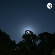 Podcast All My Content