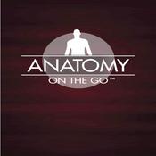 Podcast Anatomy On The Go