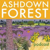 Podcast Ashdown Forest podcast